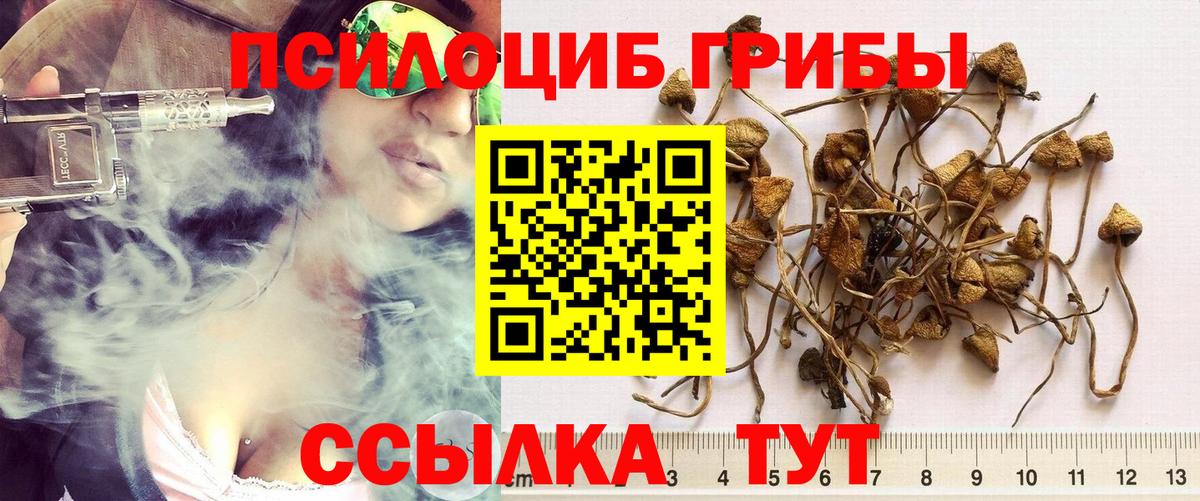 Псилоцибиновые грибы Psilocybe  Галлюциногенные грибы ЛСД  Вход с VPN  Моздок 